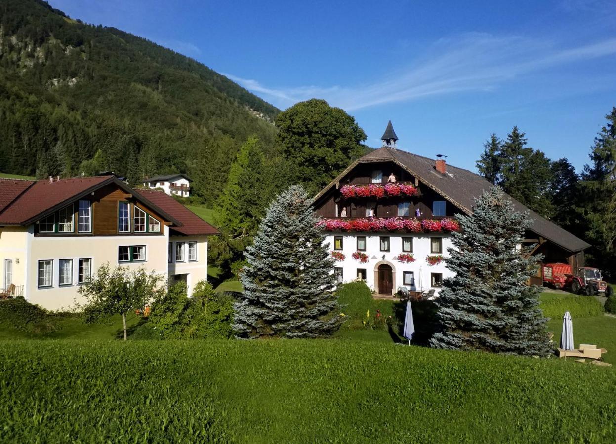 Pension Hohenau Hotel Fuschl am See Exterior foto