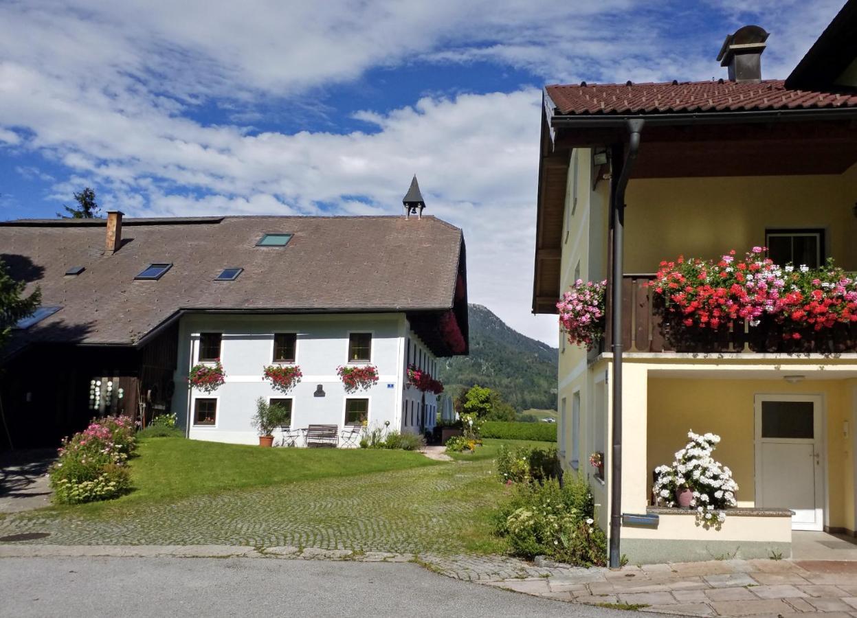 Pension Hohenau Hotel Fuschl am See Exterior foto